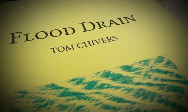 1618057_10153892030170634_170732996_o